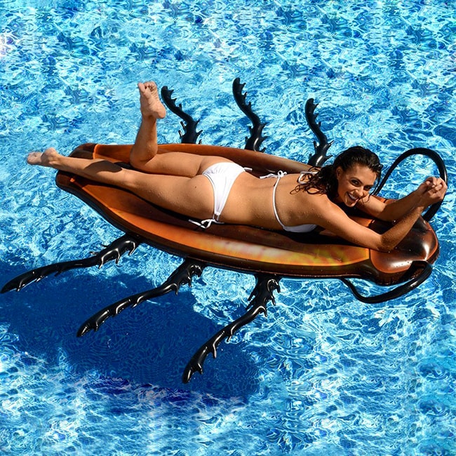 Colchoneta para piscina con forma de cucaracha
