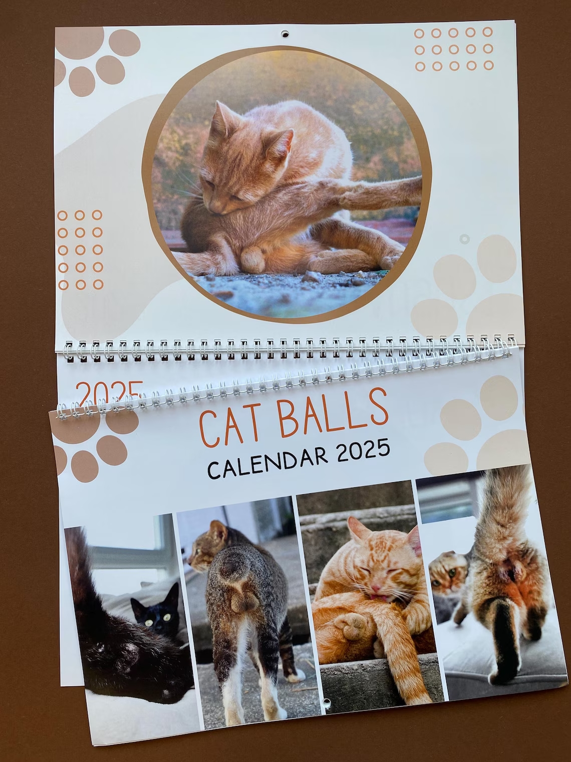 calendario gato 1