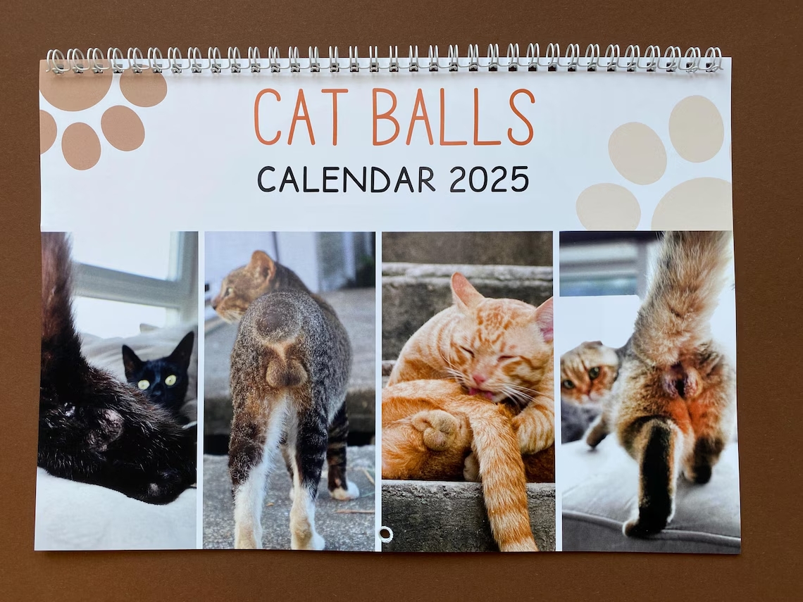 calendario gato 2