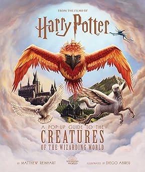 Libro Harry Potter