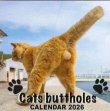 calendario culo gato 300x300